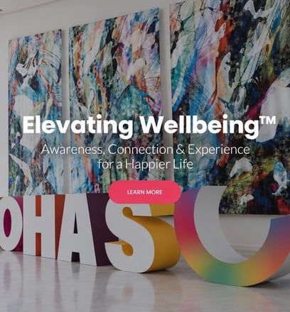 Screenshot of wohasu.com